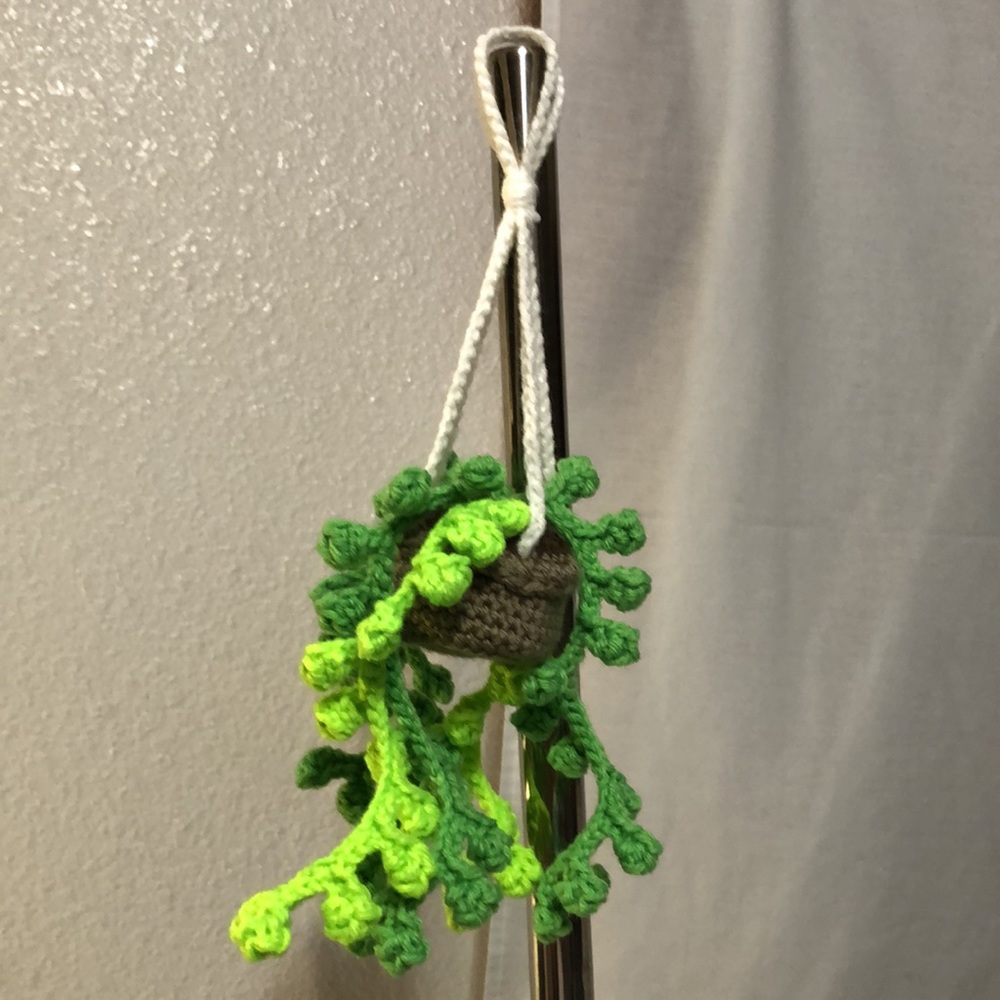 Hanging 🚗 Potted Plants succulent handmade crochet